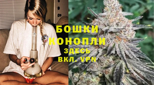 ешки Алексин