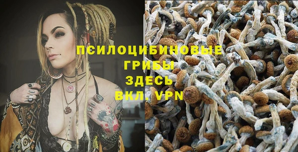 ешки Алексин