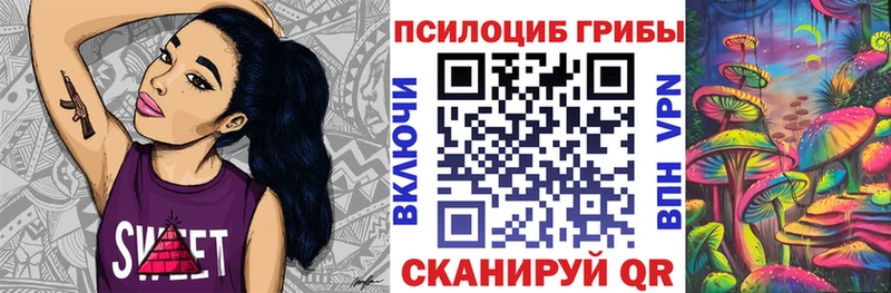 кракен ТОР Нолинск Галлюциногенные грибы Psilocybe